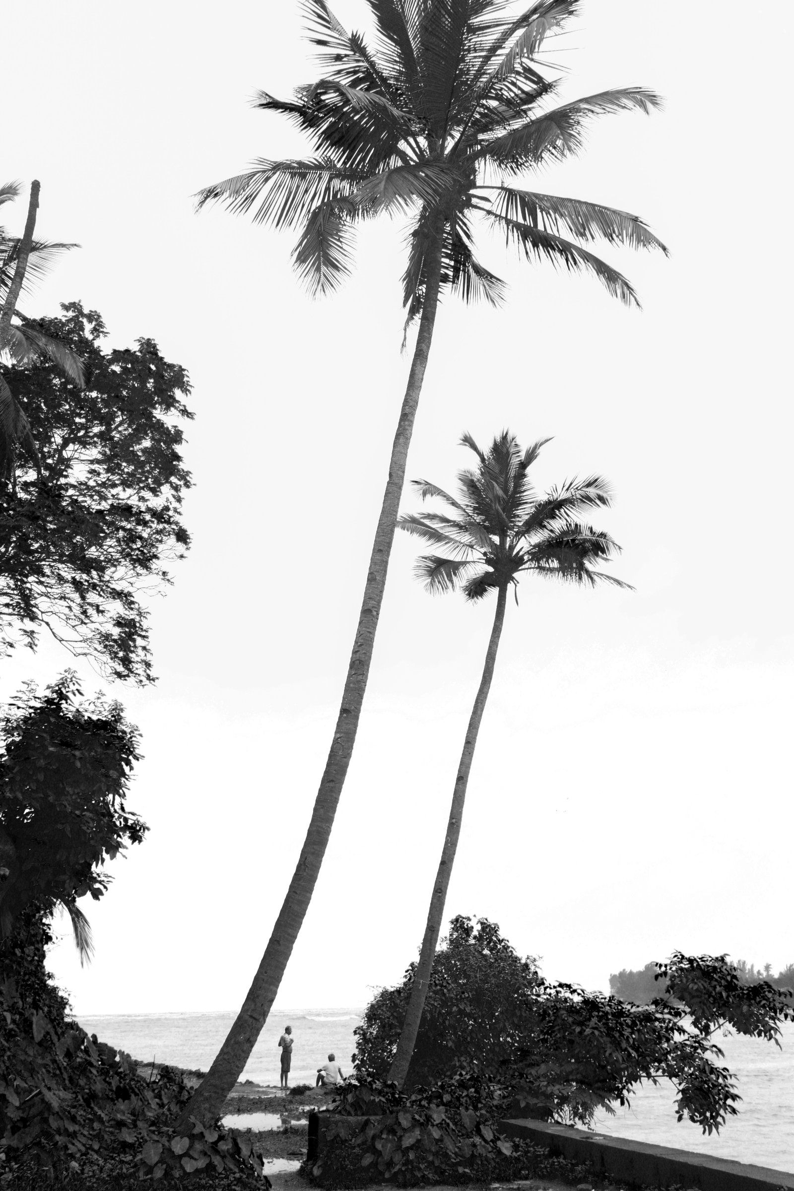 8J5A1011.jpg